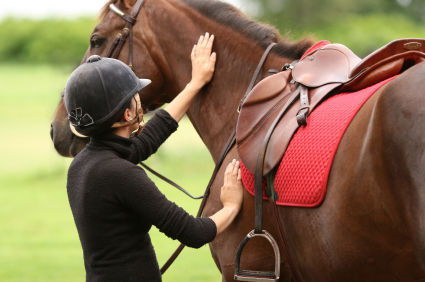 horse-riding-safety.jpg